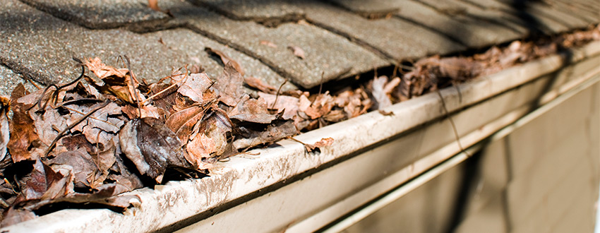 6 Signs That Your Gutter System Needs Replacing