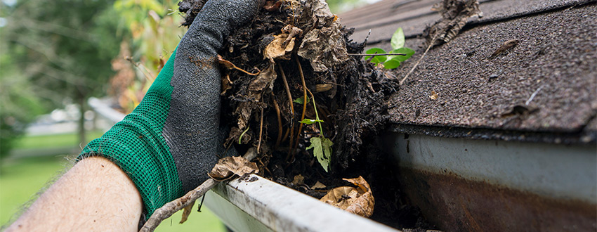 5 Reasons Why Keeping Your Gutter Clean Should be a Priority